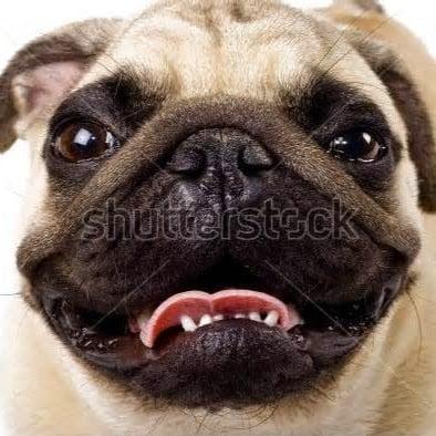 photo of Michelle R.