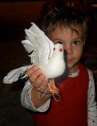 Photo of Meleva S.