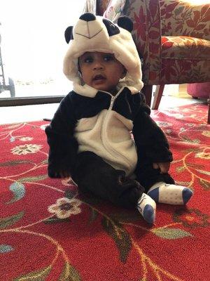 photo of Saisundar R.