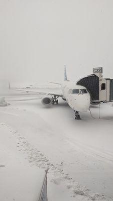Photo of Taxi T.