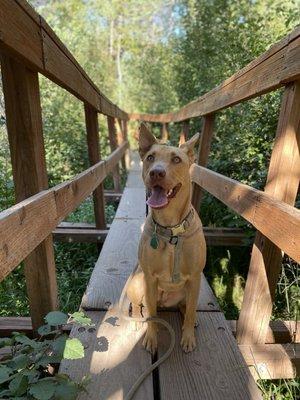 Photo of Gabrielle G.