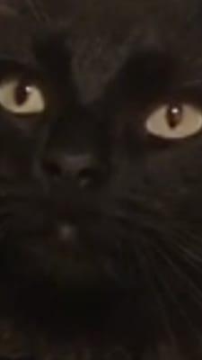 photo of Elizabeth C.