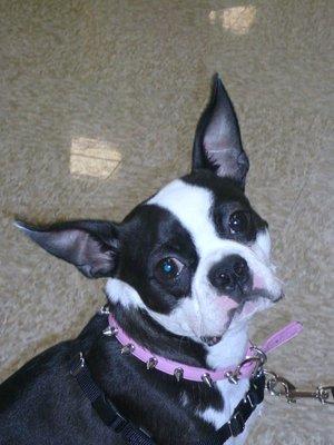 photo of Kristine C.