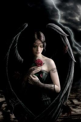 Photo of Tina D.