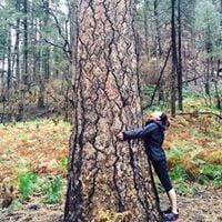 Photo of Jessica T.
