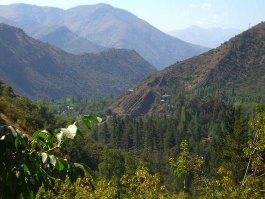 photo of Adelheid S.