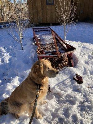 photo of Christopher J.