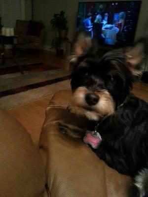 Photo of Stephanie G.