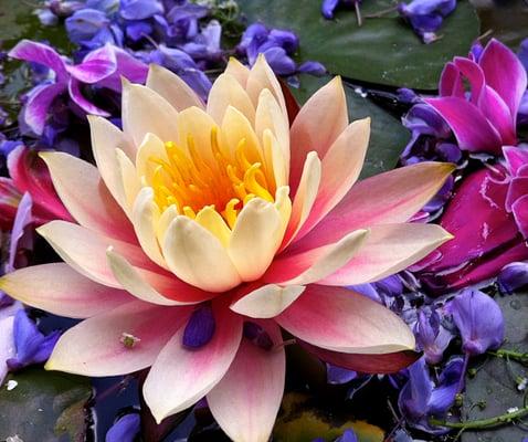 photo of Jennifer D.