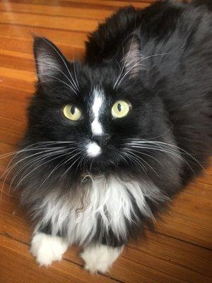 Photo of Siera F.