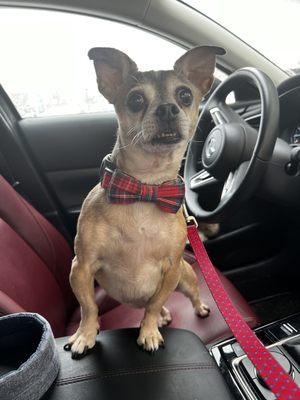 Photo of Jennifer P.