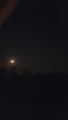 photo of Cassandra T.