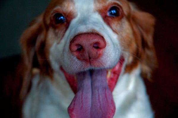 photo of Alexander W.