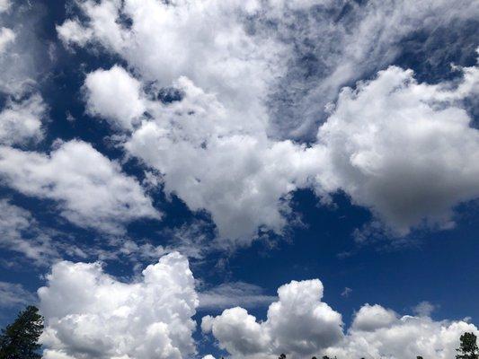 photo of Christina J.