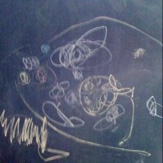 photo of Samantha S.