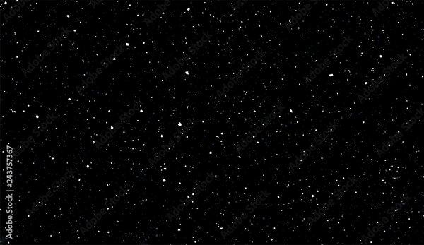 photo of Chintoo Ani Pintoo A.