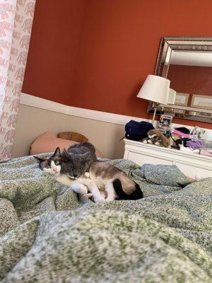 photo of Victoria S.