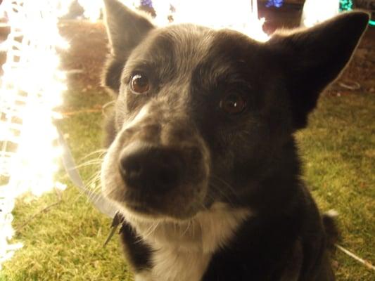 photo of PennyLane K.