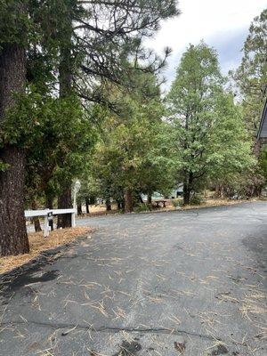 photo of Christina Z.