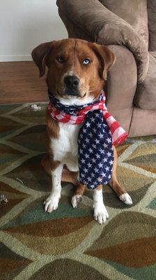 Photo of Courtney S.