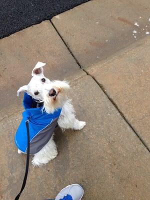 photo of Jennifer E.