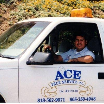 photo of Ace Tree S.