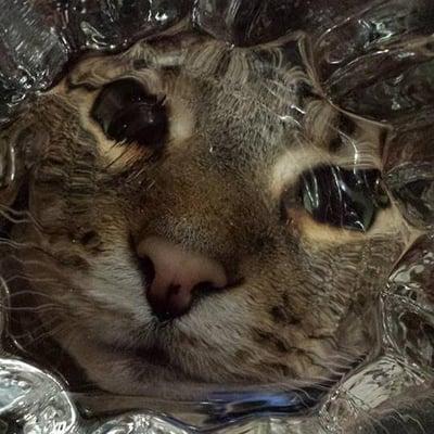 photo of Michelle H.