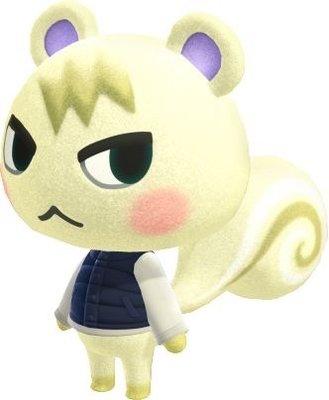 Photo of Cat O.