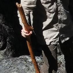 photo of Trevor A.