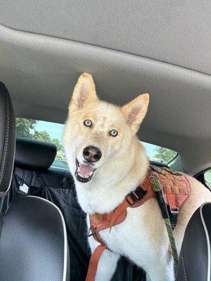 photo of Rebecca C. L.