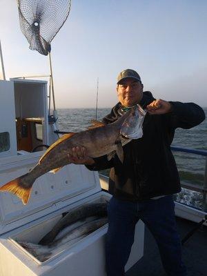 Photo of Mark M.