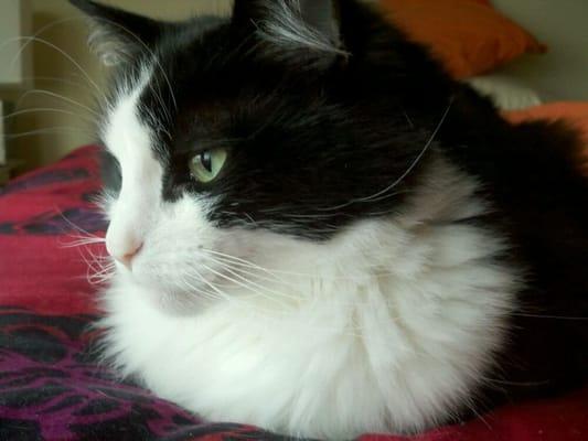 photo of Veronica A.