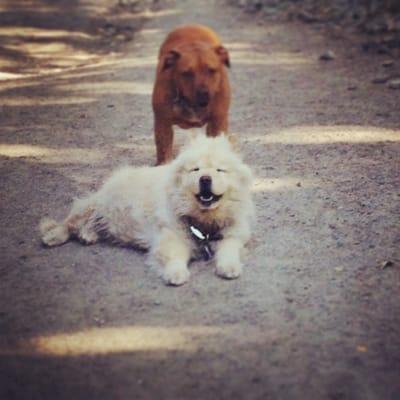 photo of Kimberly S.