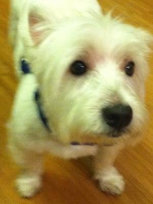 photo of Angelina J.