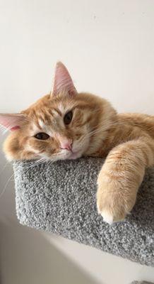 Photo of Zach C.