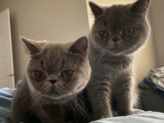 photo of Consumer G.