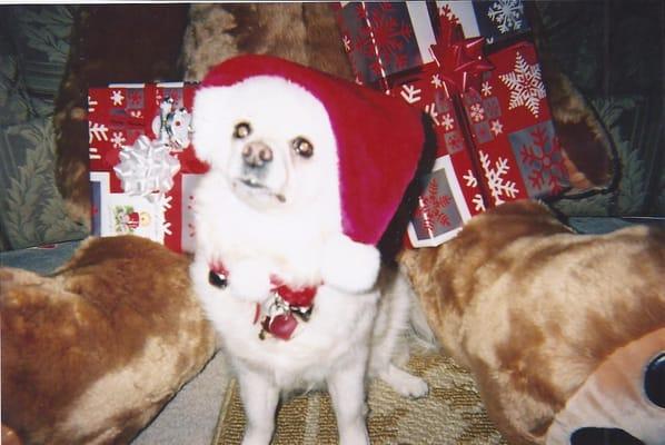 Photo of Amy T.