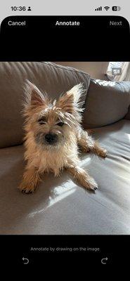 photo of Colorado S.