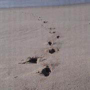 photo of Kimberly T.