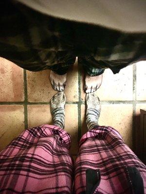 photo of Nekoagogo S.