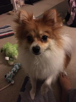 Photo of Michelle L.