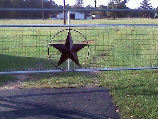 photo of Charlotte S.