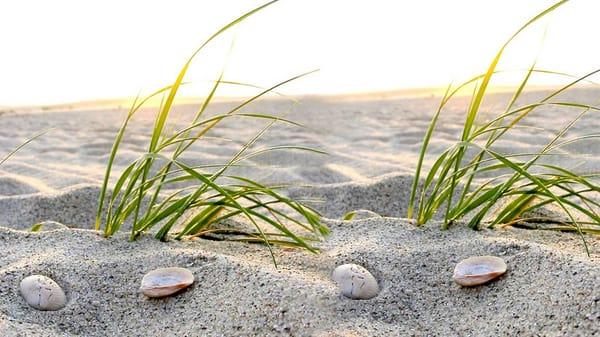 photo of Elizabeth H.