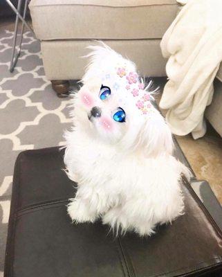 photo of Jennifer D.