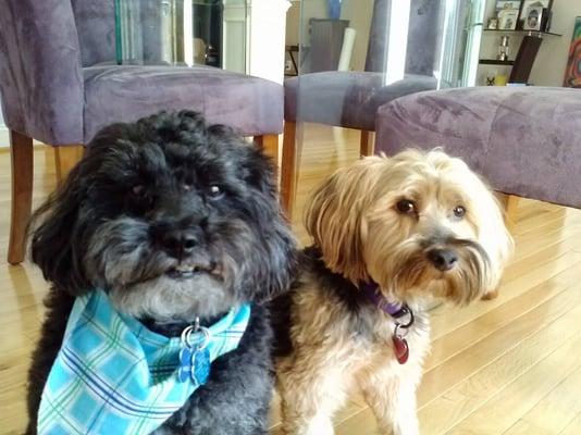 photo of Patricia C.