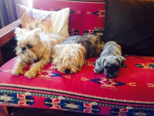 photo of Beatrice T.