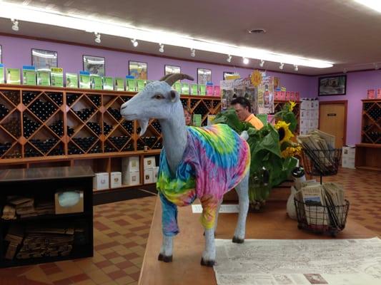 photo of Margarita M.