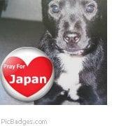 Photo of Junko M.