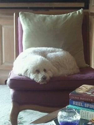 photo of Jennifer M.