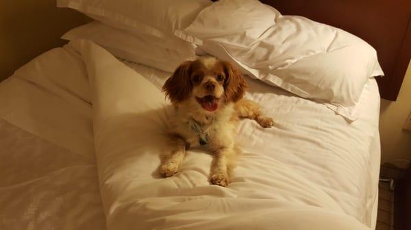 Photo of Jennifer O.